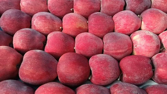 Kinnaur Apple (Seb)