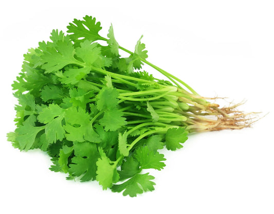 Coriander (Dhaniya)