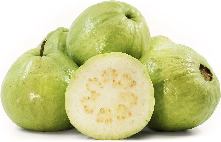 Guava (Amrud)