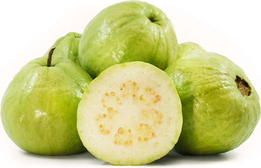 Guava (Amrud)