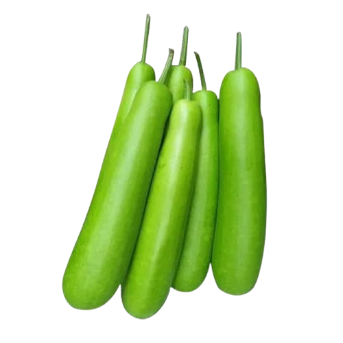 Bottle Gourd (Lauki / Ghiya)