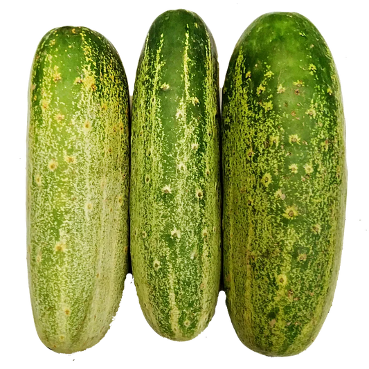 Desi Cucumber