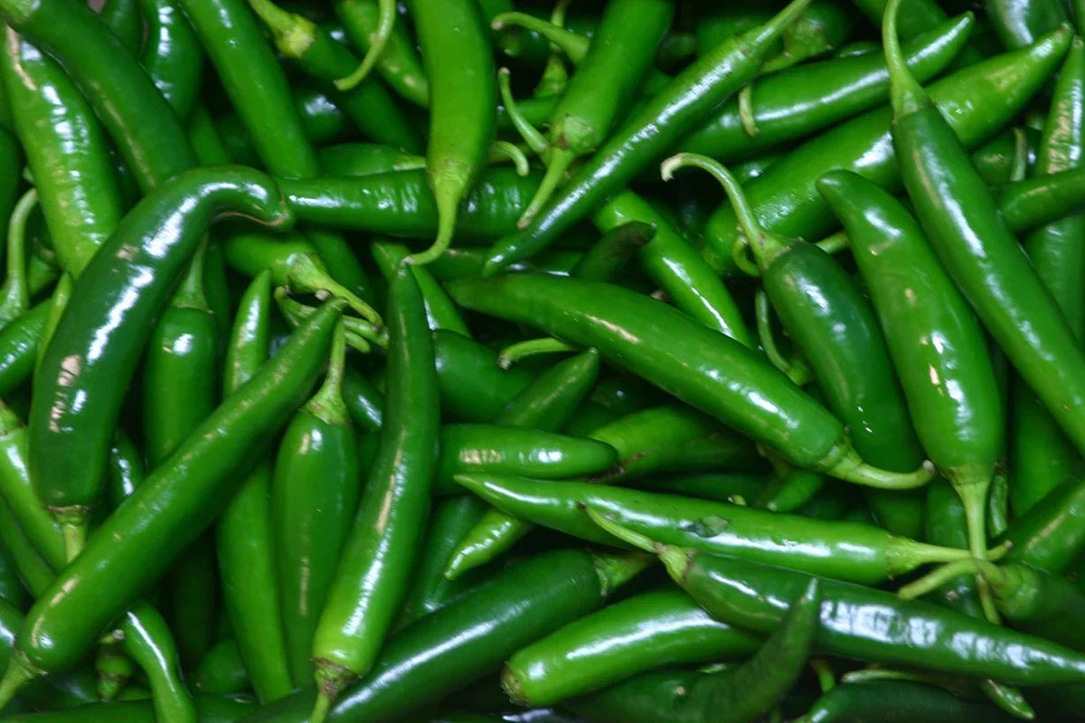 Green Chilli (Hari Mirch)