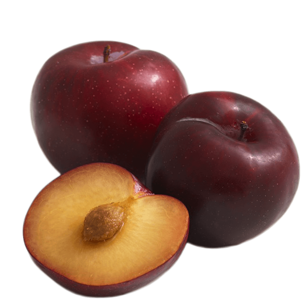 Plum