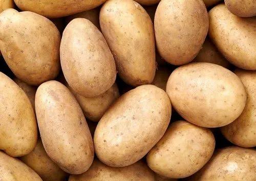 Potato (Chipsona Aaloo)