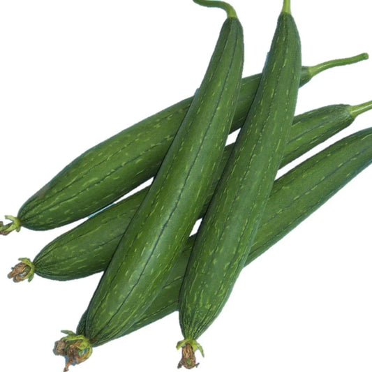 Sponge Gourd (Tori)