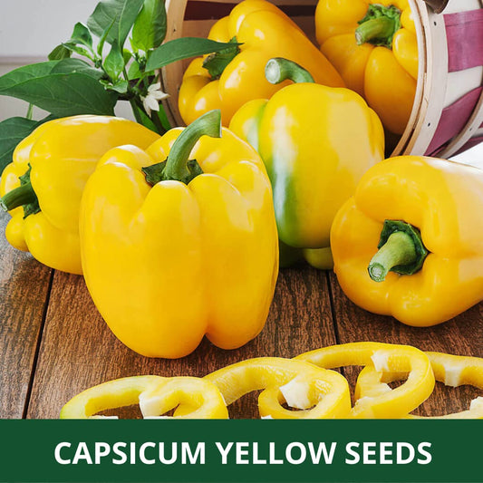 Yellow Bell Pepper